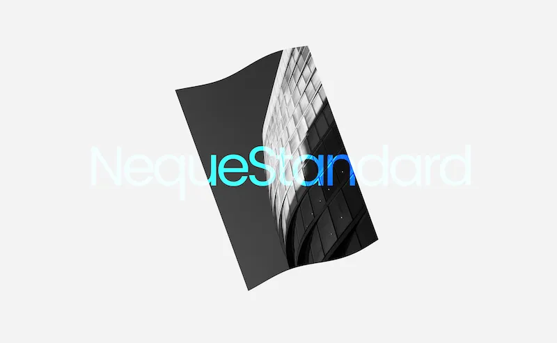 Plane Mesh Interactive Web